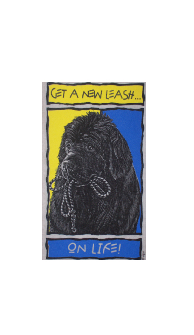 Get a new leash on life